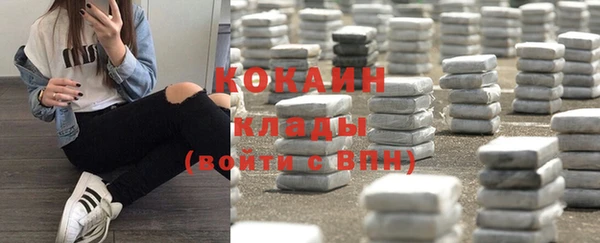 индика Инта