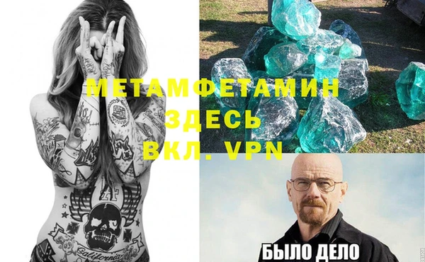 индика Инта