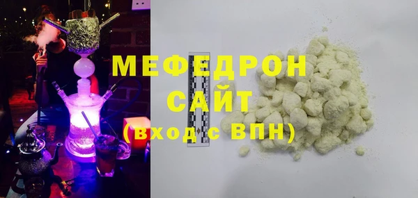 индика Инта