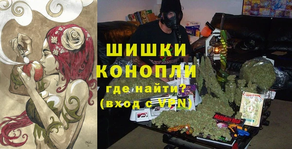 индика Инта