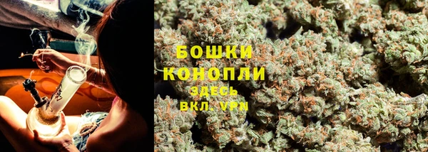 ешки Каменногорск