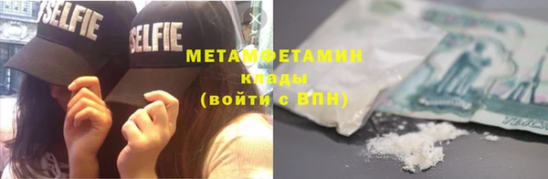 индика Инта