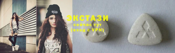 индика Инта
