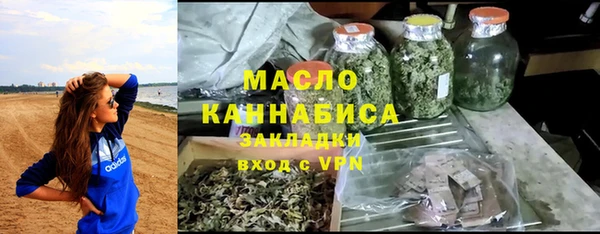 индика Инта