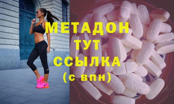 индика Инта