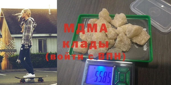 индика Инта