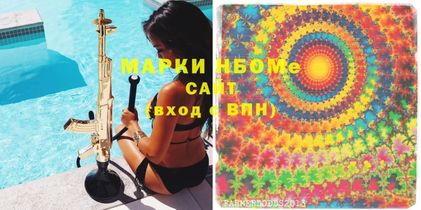 индика Инта