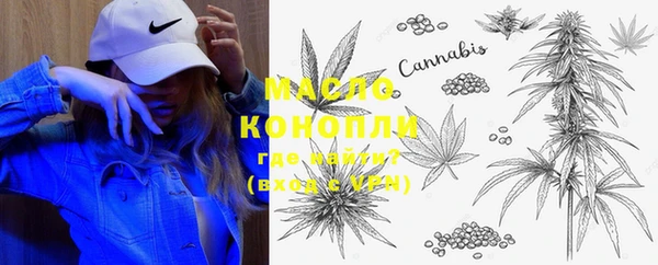 индика Инта