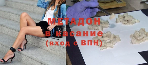 индика Инта