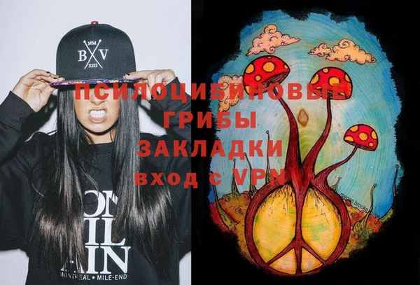 индика Инта