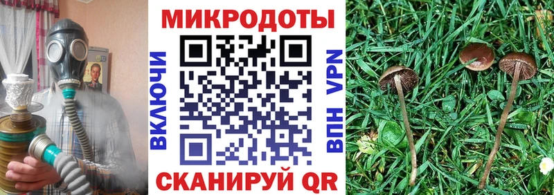Галлюциногенные грибы ЛСД  Купить где  Володарск 